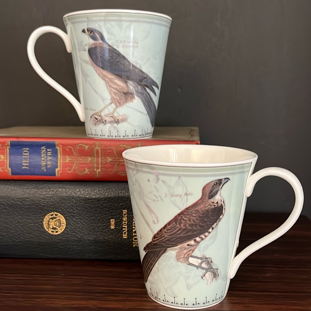 Aynsley Ornithological Studies Fine Bone China Mug